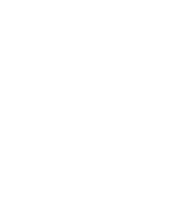 asset_header_amicoShield_white_favicon