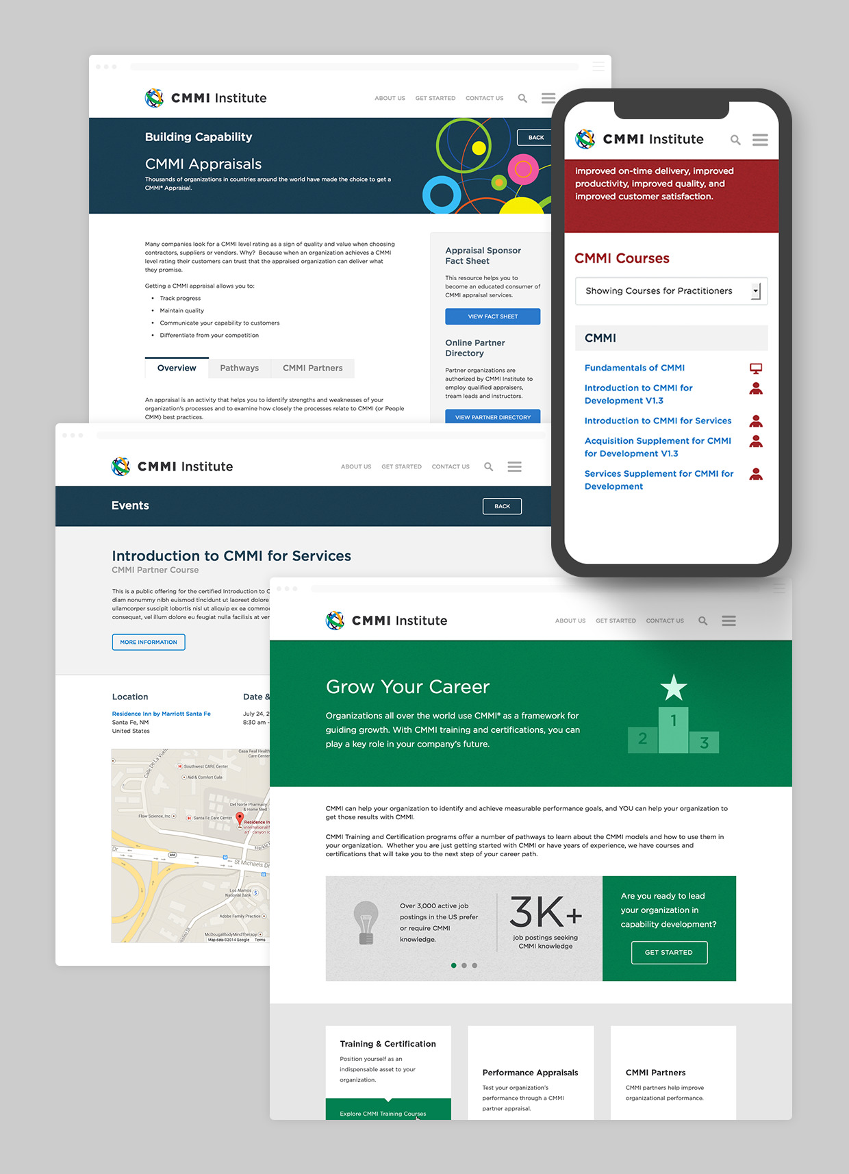 asset_other_examples_cmmi_website